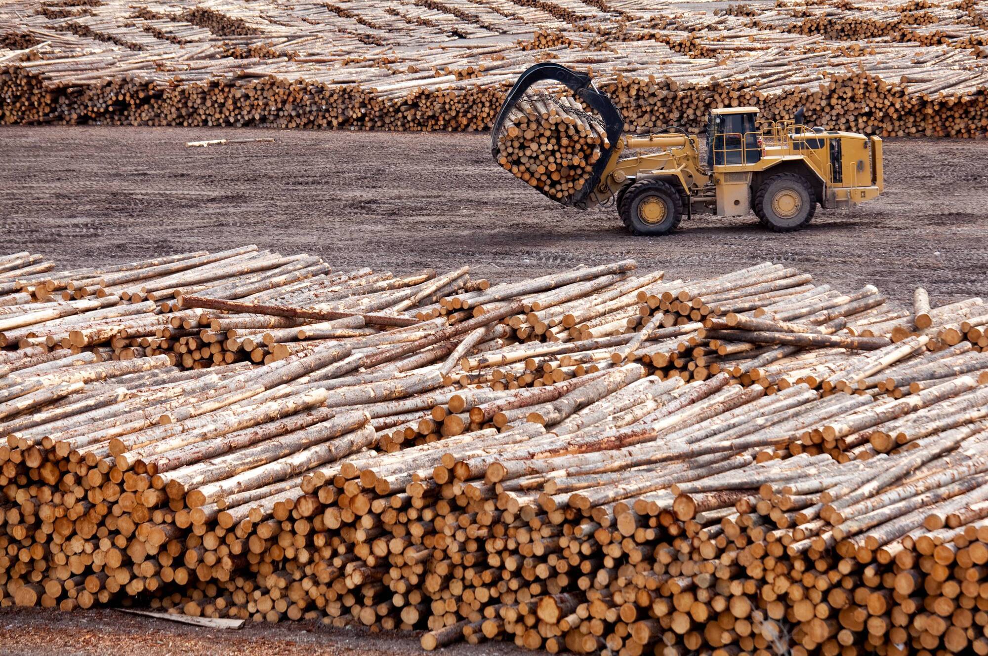 Ireland's sawmills have run out of timber