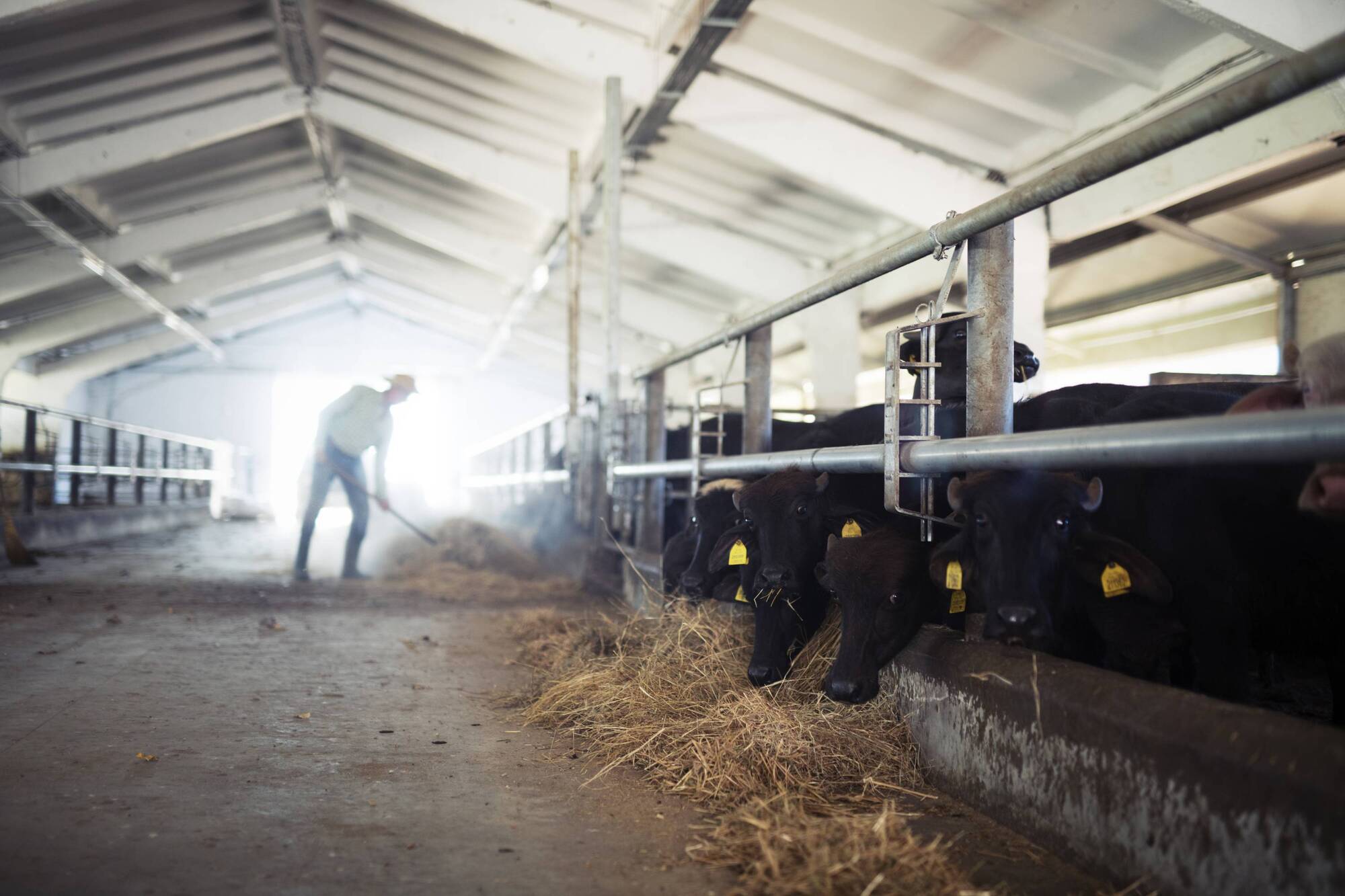 Turn the lockdown to your advantage as you settle into winter farm routines