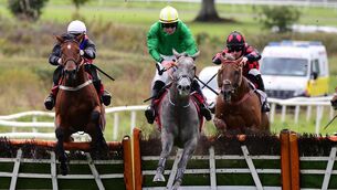 <p>Made In Pimlico (right) should be in the money at Sligo. Picture: Healy Racing</p>
