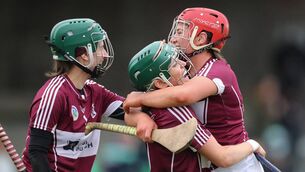 <p>The Westmeath camogie team shocked Limerick in their first ever senior game last weekend. Picture: Keith Wiseman</p>