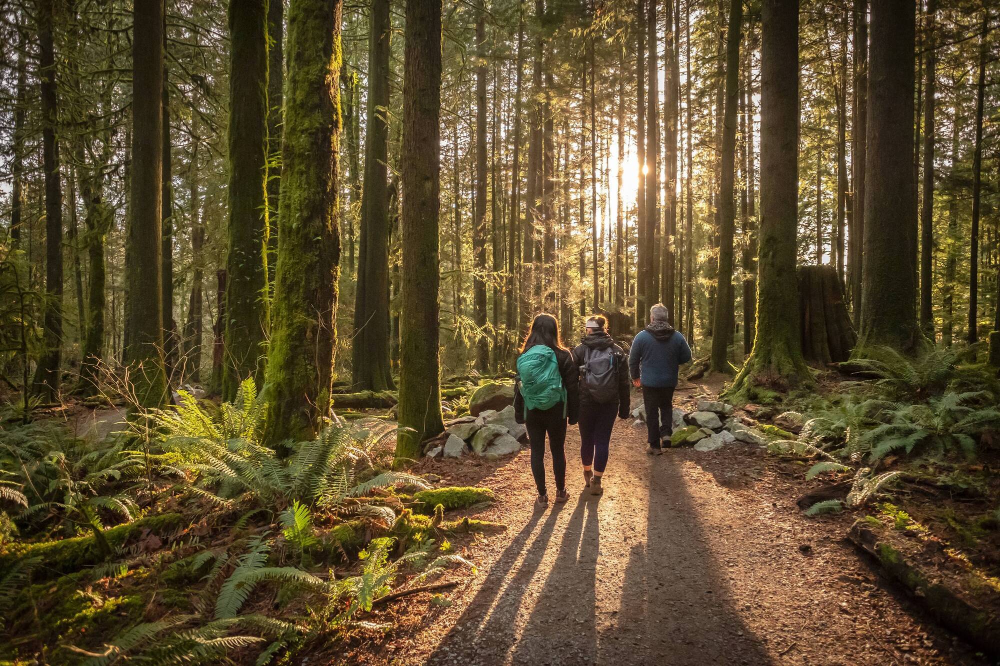 How the pandemic can help our natural environment