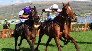 <p>The classy Latest Exhibition (left) can take the Beginners' Chase at Punchestown. Picture: Healy Racing</p>