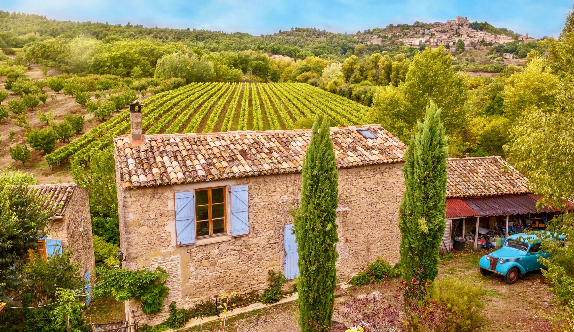 Wine with Leslie: Rhône favourites to make you feel you're on a wine trip