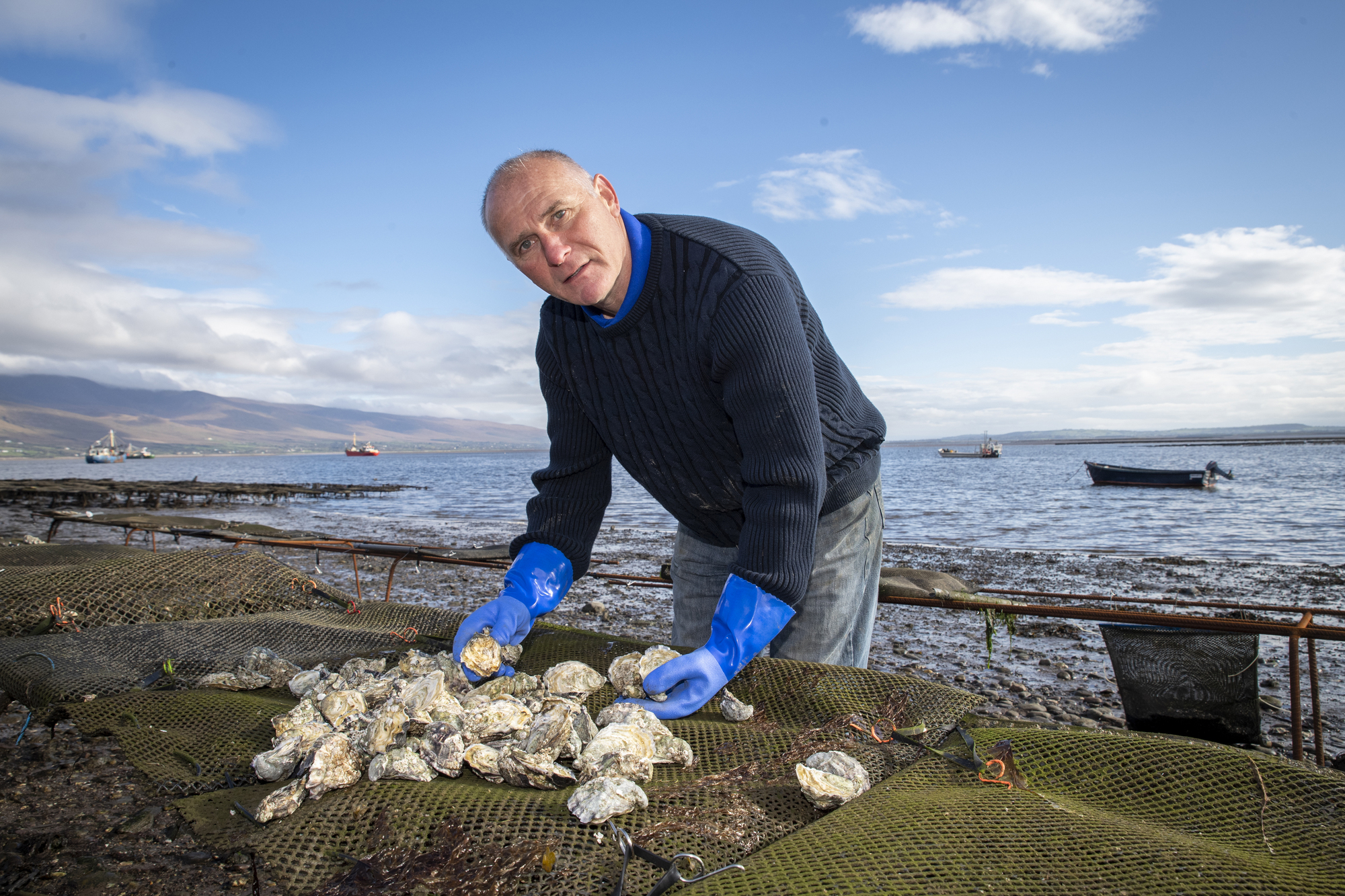 From the shores of Kerry to the dining tables of Europe, Asia and Russia