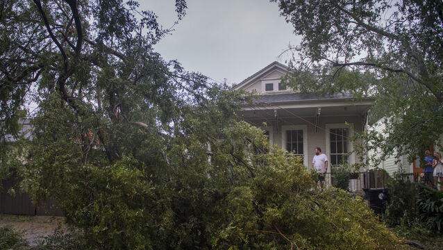 People look at a downed tree after Hurricane Zeta made landfall (Chris Granger/The Times-Picayune/The New Orleans Advocate via AP)