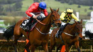 <p>Envoi Allen (left) the only danger to him today are the fences he has to jump. Picture:  Harry Murphy/Sportsfile</p>