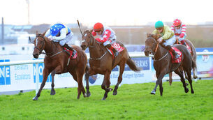 <p>Stellify (right)  was an unlucky loser last time at Galway and can make amends in the apprentice handicap. Picture: Healy Racing </p>