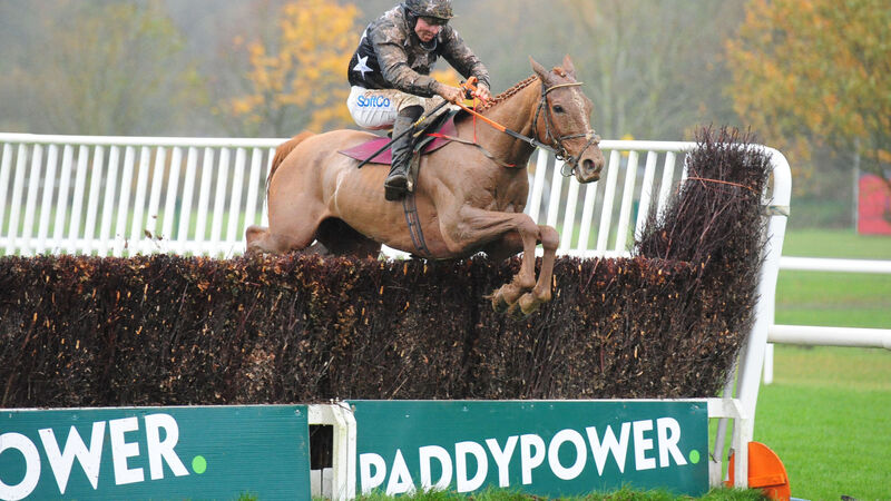 Cork report: Dromore Lad off the mark in style