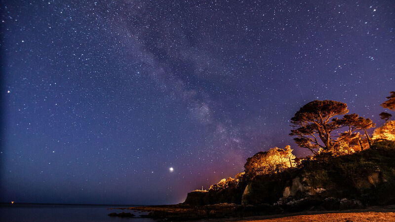 Use photographs and lunchbox messages to spread happiness 