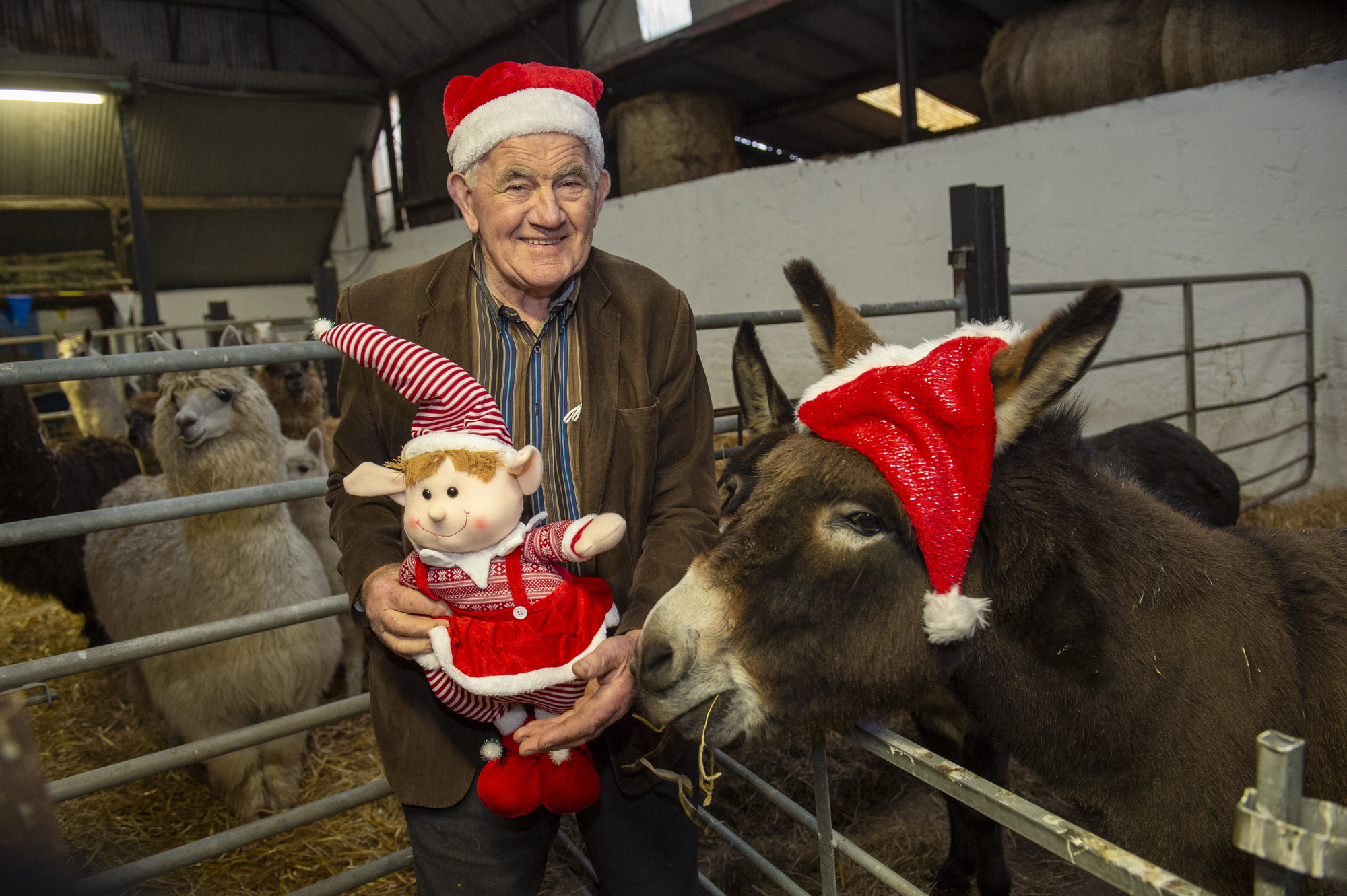 Socially-distanced Santas to spread  'Ho ho ho' as Covid-19 reins in grotto trips