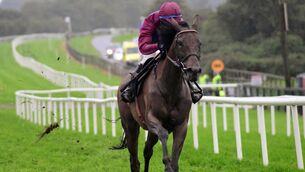 <p>Erins Benefit can make up for Listowel disappointment in mares' maiden hurdle. Picture: Healy Racing</p>