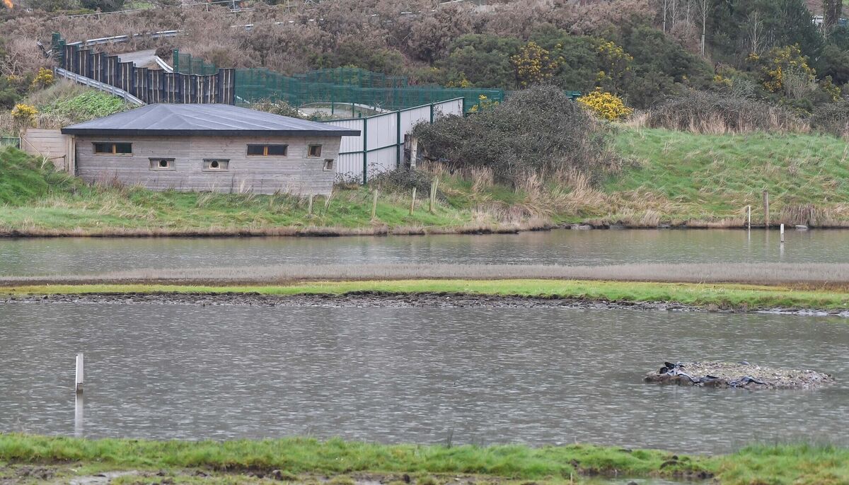  The bird hide at Harper's Island Wetland Centre in Glounthaune, Co Cork.