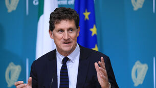 <p>The Committee is urging Minister Ryan to work with Irish airports on building the necessary system for testing passengers pre-departure and on arrival in Ireland. Picture: JULIEN BEHAL Photography</p>