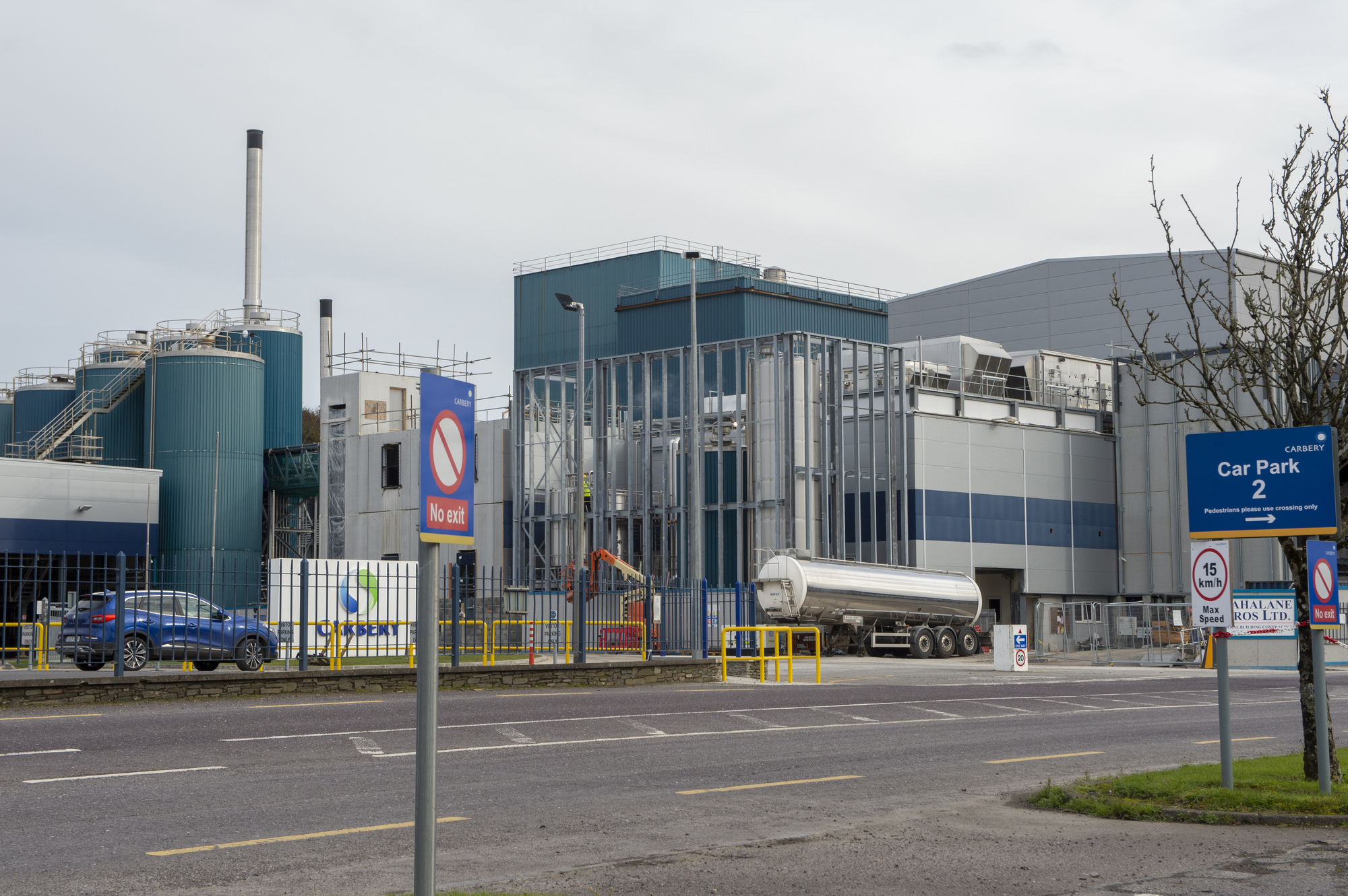 Carbery bring Irish mozzarella to the Asian consumer