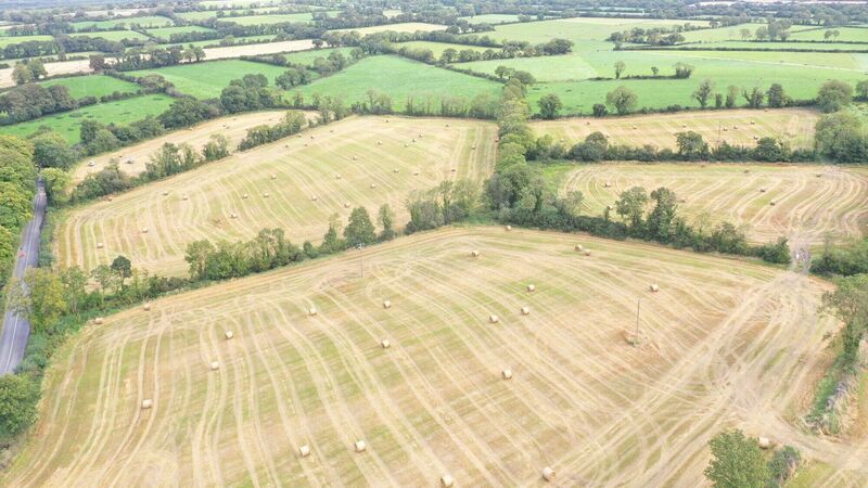 Why a 26-acre farm near Mallow could be a bargain at €10,000 per acre