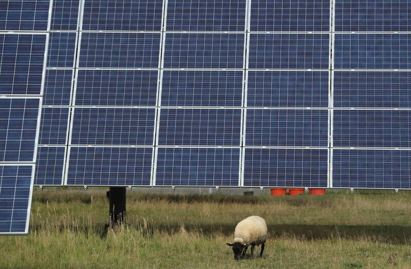 Picture: Sean Gallup/Getty Images