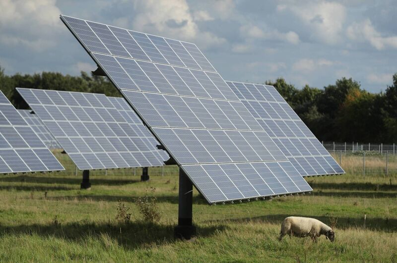 A sheep grazes at a solar farm in Sonnewalde, Germany. Counterintuitively, solar panels are less efficient in higher temperatures, meaning Ireland’s temperate climate could be optimal for the clean energy. Picture: Sean Gallup/Getty