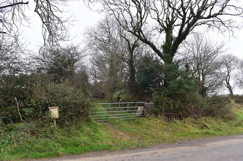 The entrance to the 40-hectare site in the townlands of Finnis and Mishells, north west of Bandon, Co Cork, which has been earmarked for the development of a 13.1-megawatt solar farm. Picture: Dan Linehan