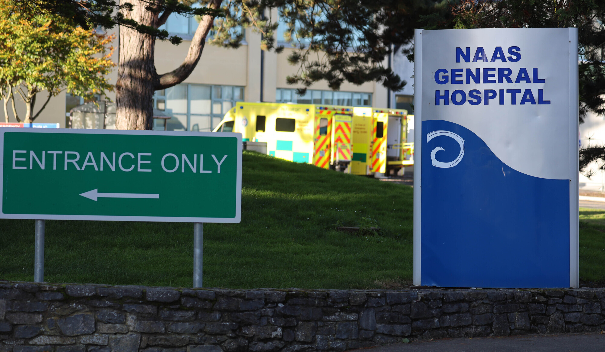 Man arrested following fatal hit-and-run in Co Kildare