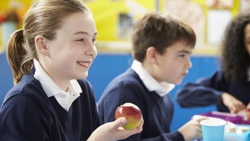 The START campaign is about making one small change in the right direction each week so you choose one thing to change in your home and make daily wins. The START campaign is about making one small change in the right direction each week so you choose one thing to change in your home and make daily wins.