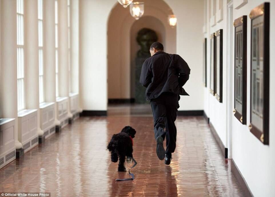 Barack Obama runs down a corridor with the family's new dog, Bo, in the White House in 2009.