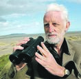 Richard Collins: What zebrafish can tell us about lockdown