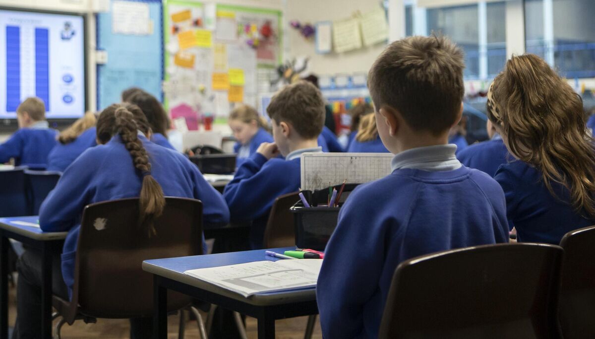 If current trends continue, enrolments could reach a low point of 451,971 by 2034, which would be 115,745 fewer students than today's figure. 