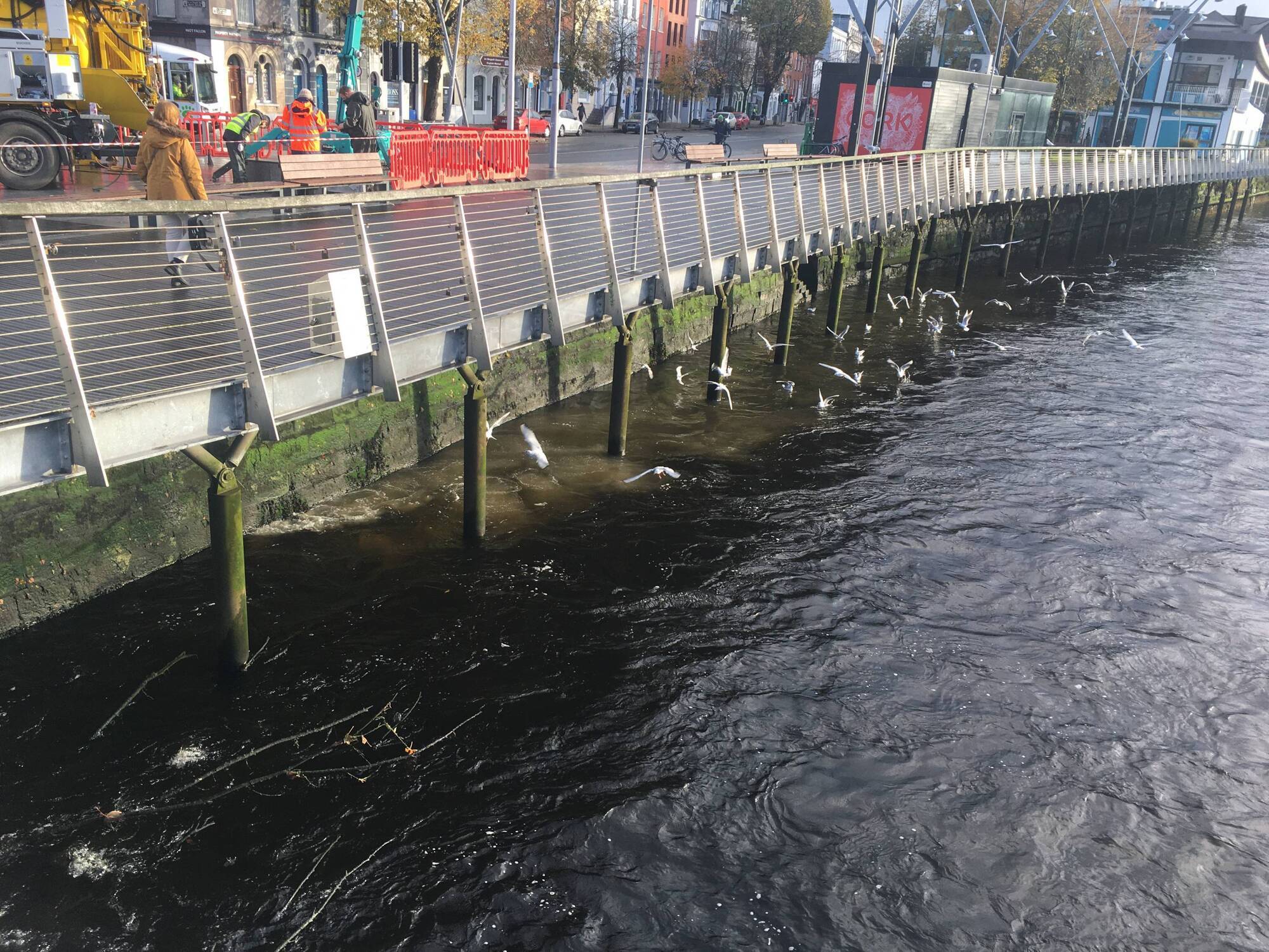 Nasty 'fatbergs' becoming a growing problem in Cork 
