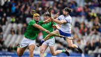 Limerick v Waterford - Allianz Hurling League Division 1 Final