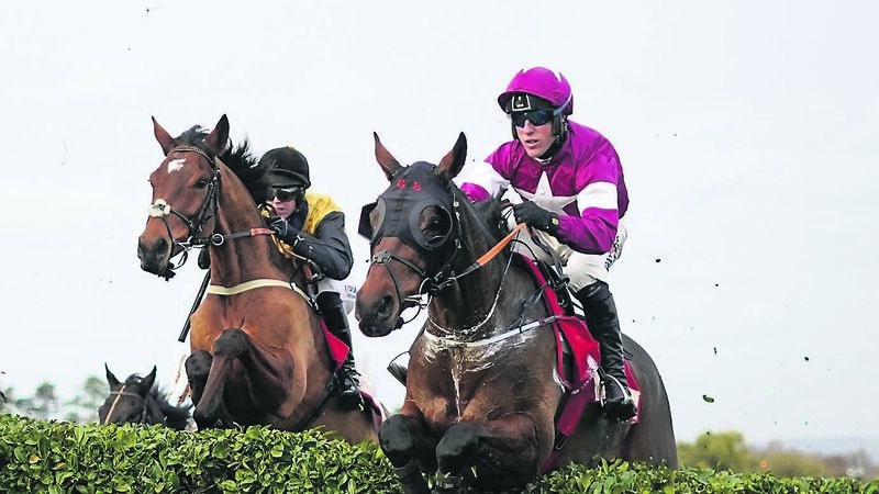 Tiger Roll team deflated after Cheltenham flop