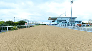 <p>A view of the home straight as racing continues behind closed doors due to Covid-19 restrictions at the Co Louth venue. Picture: Healy Racing.</p>