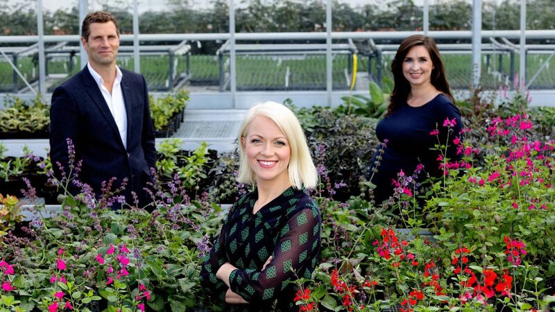 Monday's TV Tips: Guaranteed Irish success stories examined