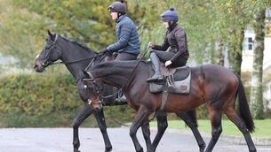 <p>Ferny Hollow ridden by Paul Roche on far side of Kemboy and Rutch Dudfield</p>