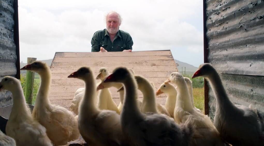 Dúiseacht is a new five-part documentary series following life on the Dingle Peninsula from May to October 2020 during the Covid-19 pandemic. Breandán Ó Beaglaoich has been enjoying the stillness of life during Lockdown.