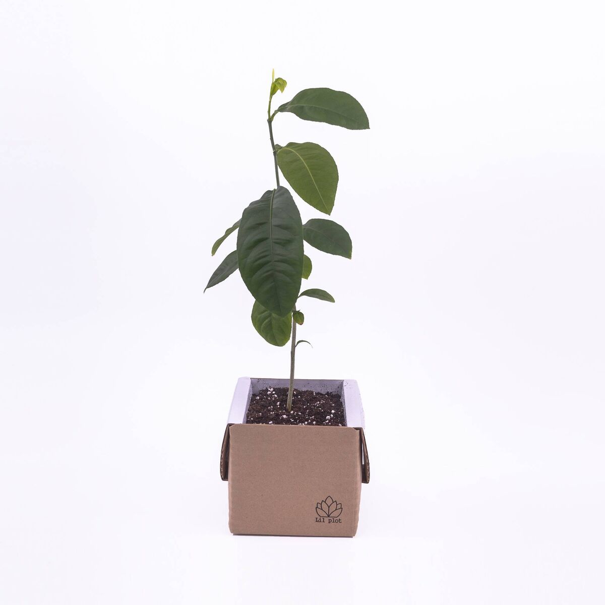 reuzi.ie, €29.99