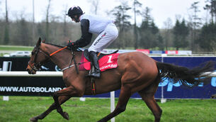 <p>Bob Olinger can make a successful hurdling  debut at Gowran Park. Picture: Healy Racing </p>