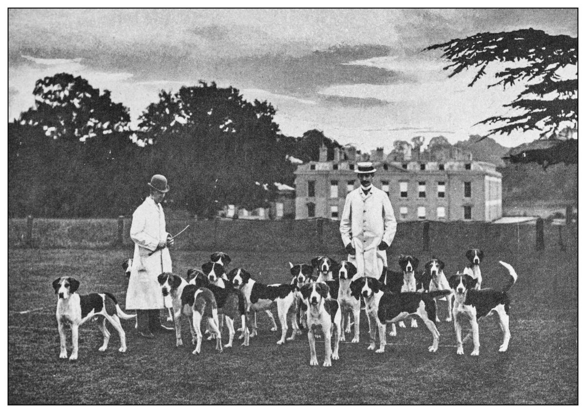 Fox hunting had taken off during the late 18th century and was popular among the English gentry. In Ireland there were no formal hunt clubs yet. Instead, large landowners, such as French, kept hounds capable of keeping up with foxes on private hunts. 