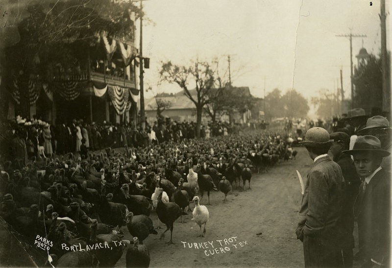 A turkey drive, Cuero, Texas, in 1913. Picture: Texas State Archive A turkey drive, Cuero, Texas, in 1913. Picture: Texas State Archive