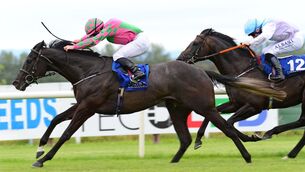 <p>Comfort Line and Gary Carroll win the LimerickRaces.ie Maiden from Mosala at Limerick in July. Healy Racing Photo</p>