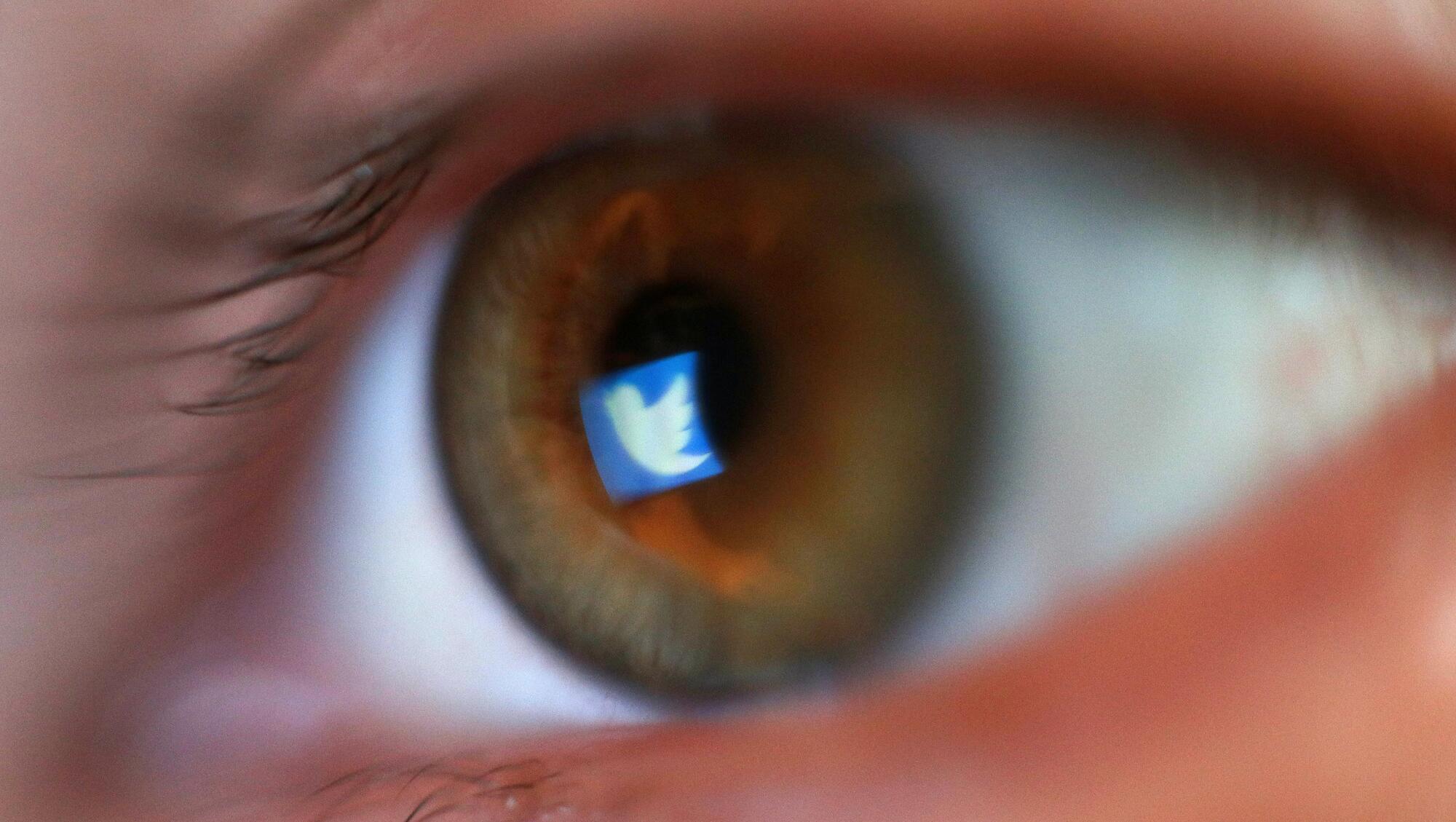 Twitter to relaunch verification process in ‘early 2021’