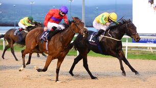 <p>Russian River, left, was just touched off by Sister Rosetta last time out but can go one better at Dunadlk today. 	Picture: Healy Racing</p>