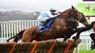<p>Honeysuckle can maintain her unbeaten record in Sunday's feature at Fairyhouse. Picture Healy Racing</p>