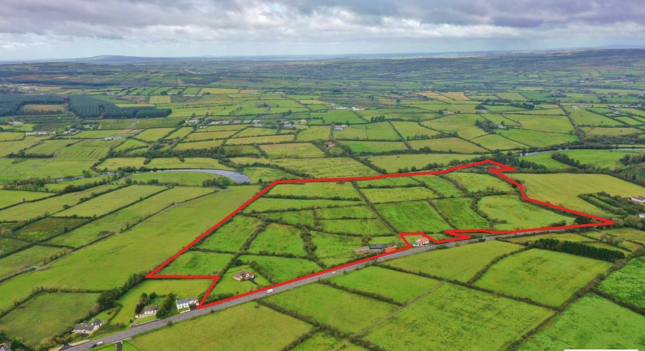 Sale includes 68 acres  and a derelict cottage by the Feale