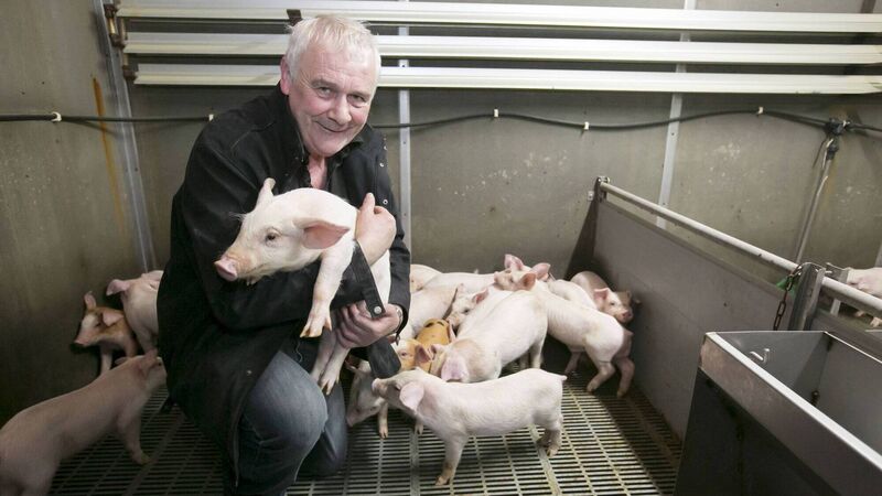 4p pig price cut follows EU trend