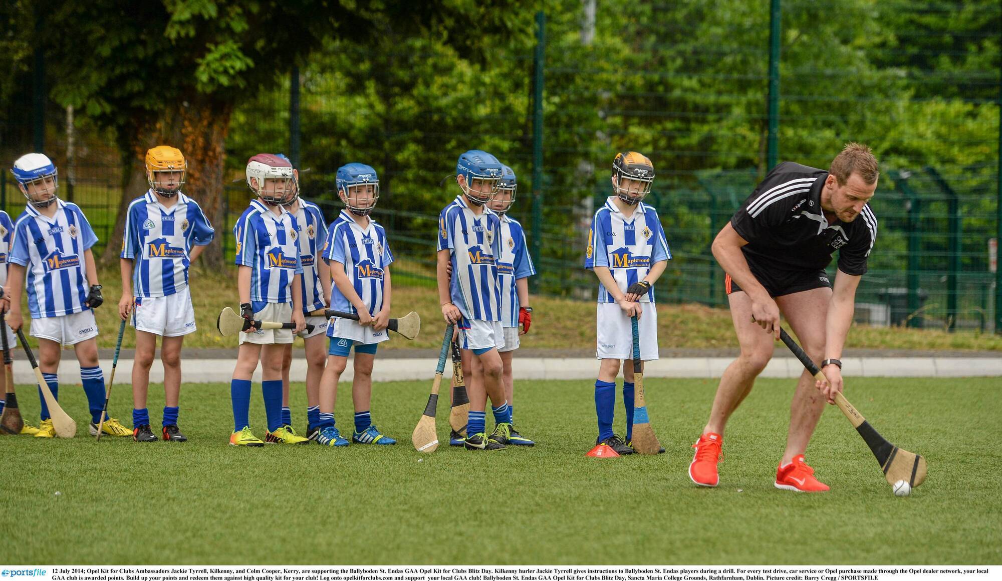 The Cork connection: How one of Ireland's biggest GAA clubs grew from the £4k sale of a pitch and putt course