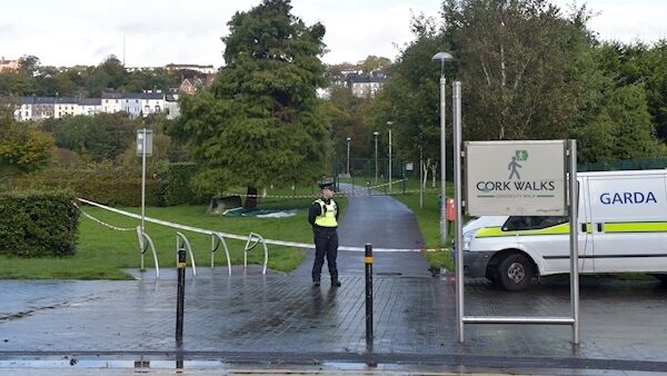 The scene at Mardyke Walk today. Pic: Dan Linehan