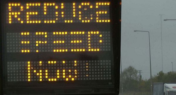 Birds influenced by road speed limits