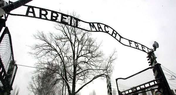 Charges urged after German Auswitz probe