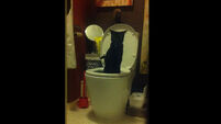 Cat learns to use human toilet 'in a couple of months'