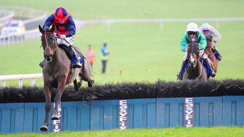 Limerick report: Double delight for Brian Hayes